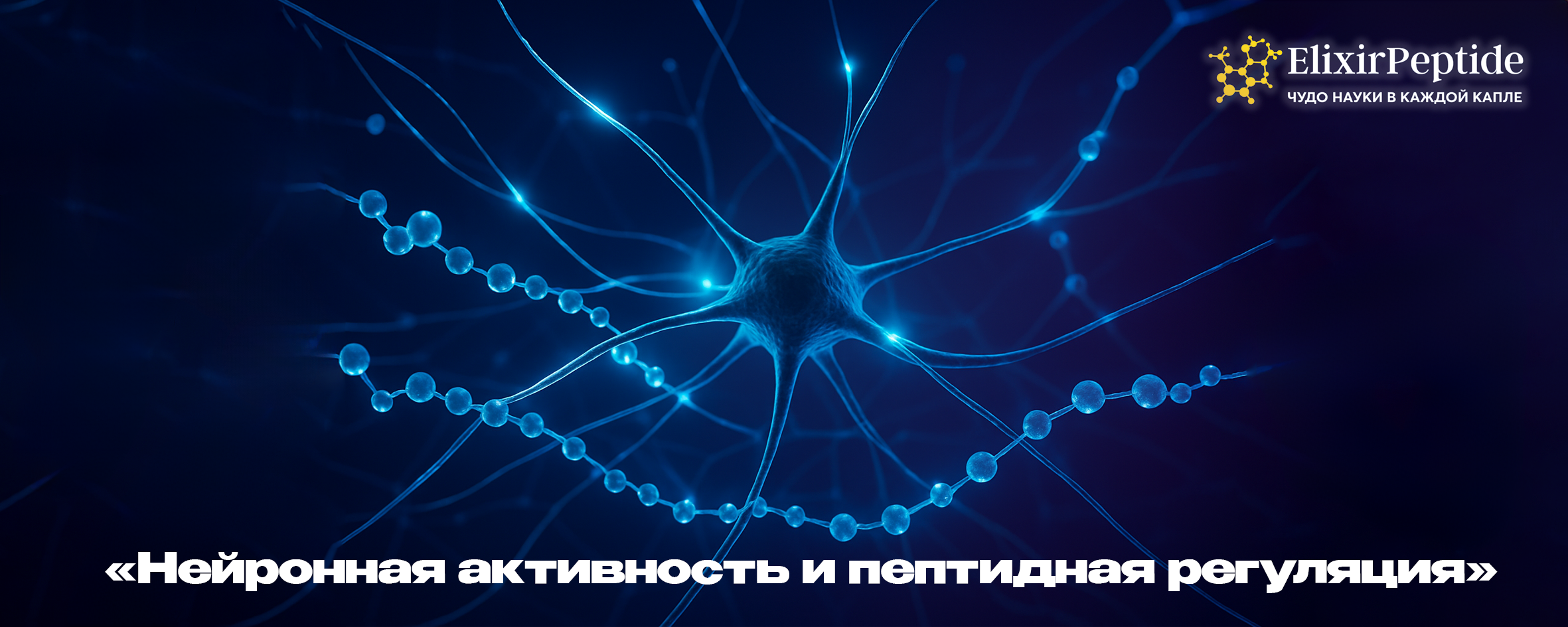 Нейронная активность и пептидная регуляция